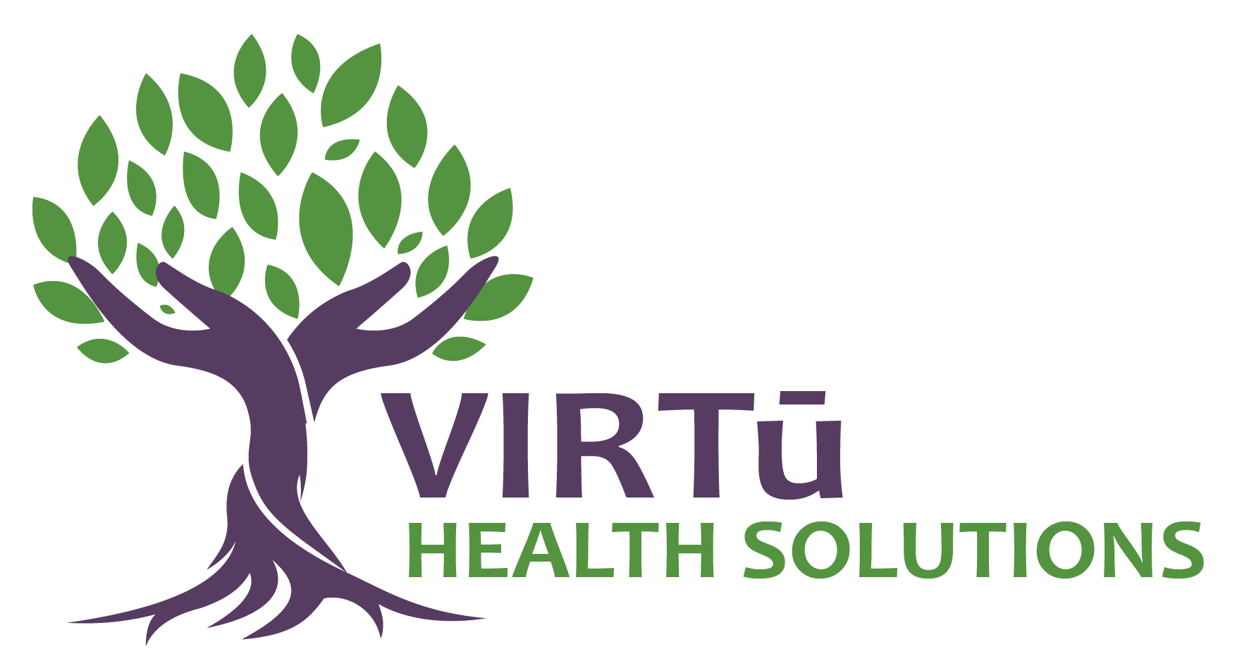 Virtu Health Solutions